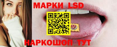шишки Ставрополь