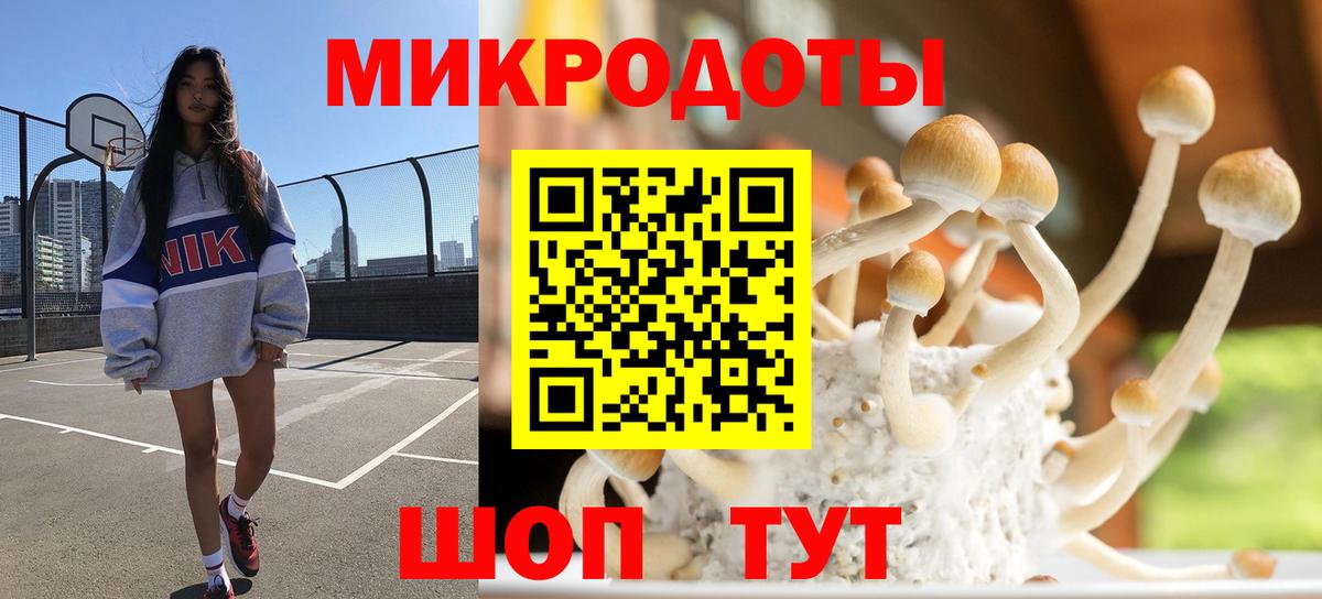 Миллерово  Псилоцибиновые грибы ЛСД  Вход с VPN  Галлюциногенные грибы Psilocybine cubensis 