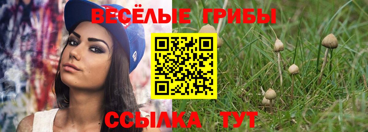 Галлюциногенные грибы GOLDEN TEACHER Миллерово